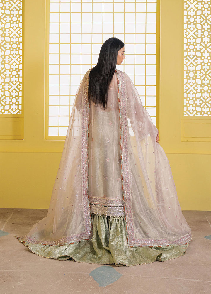 Solaris by Ayzel Unstitched Formals Organza Suits 3 Piece AAF25SW Solyn - Wedding Collection