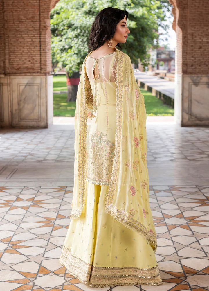 Ember by Aylin Unstitched Organza Embroidered Suits 3 Piece AYL25EF D1-Lumena - Festive Collection