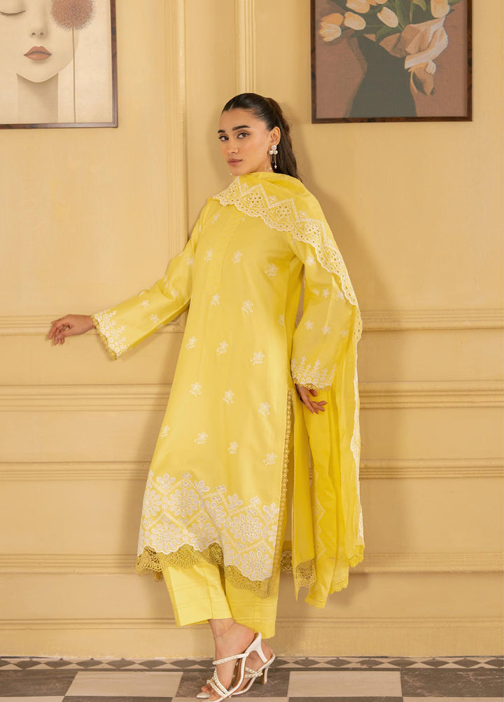 Raha by Rajbari Unstitched Premium Chikankai Embroidered Lawn 3 Piece Suit RB26UCRL D-2 - Summer Collection