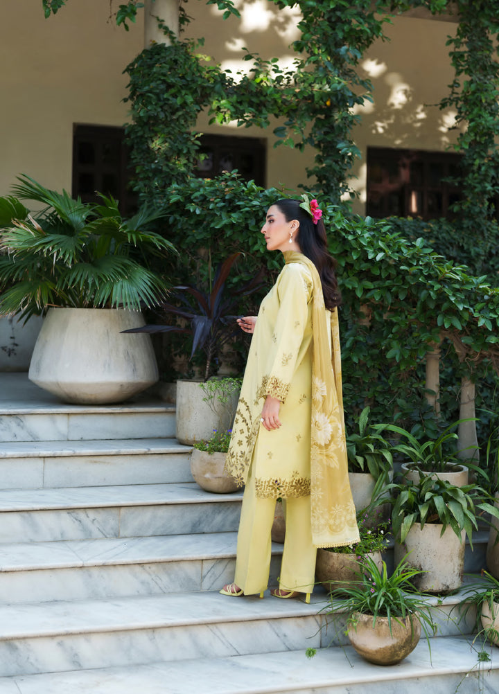 Golden Enara by Rashid Textiles Unstitched Embroidered Lawn 3 Piece Suit RT26ULG 3702 - Casual Collection