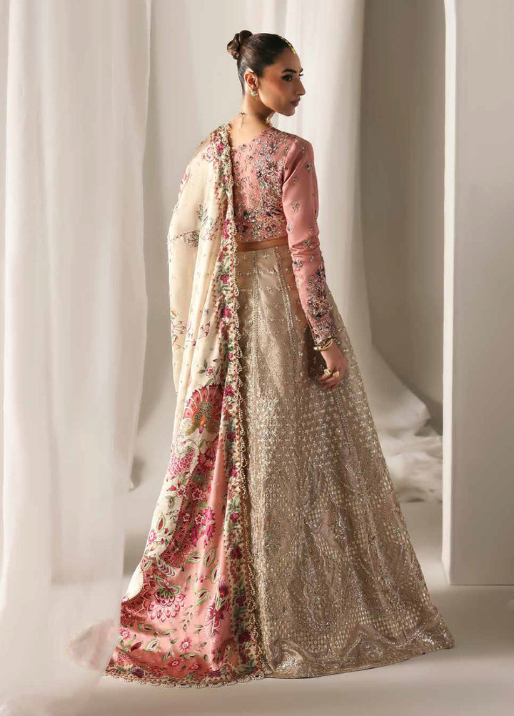 Serein Luxe by Emaan Adeel Unstitched Raw Silk Embroidered Suits 3 Piece EA25SL D-8 Soft Glimmer - Festive Collection