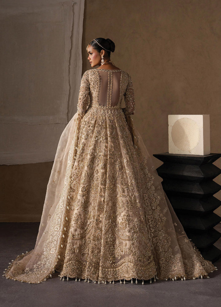 The Brides Edit by Afrozeh Unstitched Embroidered Organza 3 Piece Suit AF26UBE D-01 Catarine - Wedding Collection