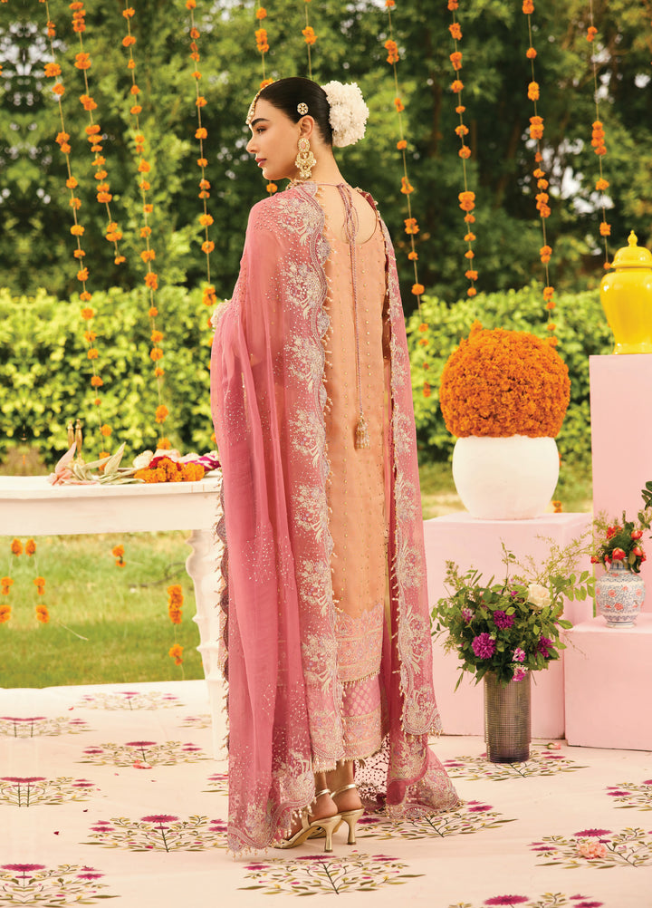 Shehnai by Alizeh Fashion Unstitched Embroidered Zari Net Suits 3 Piece AFB25SF Sitara - Festive Collection