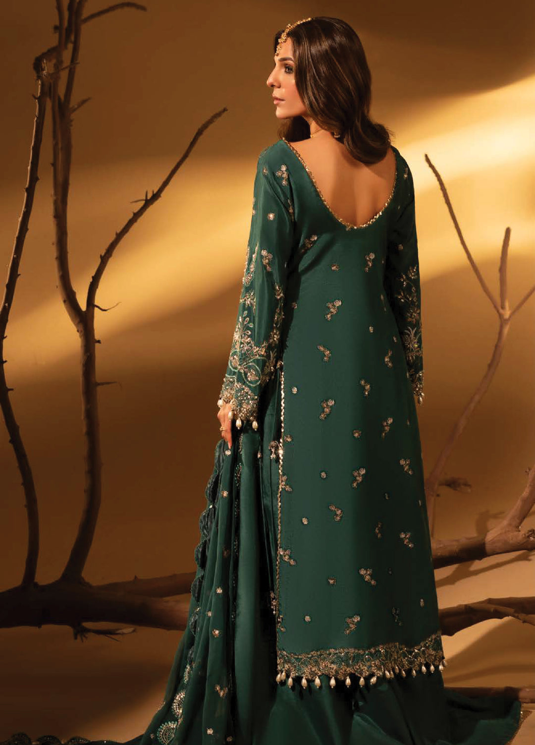 Aylin Unstitched Raw Silk Embroidered Suits 3 Piece AYL25US GREEN SLATE - Festive Collection