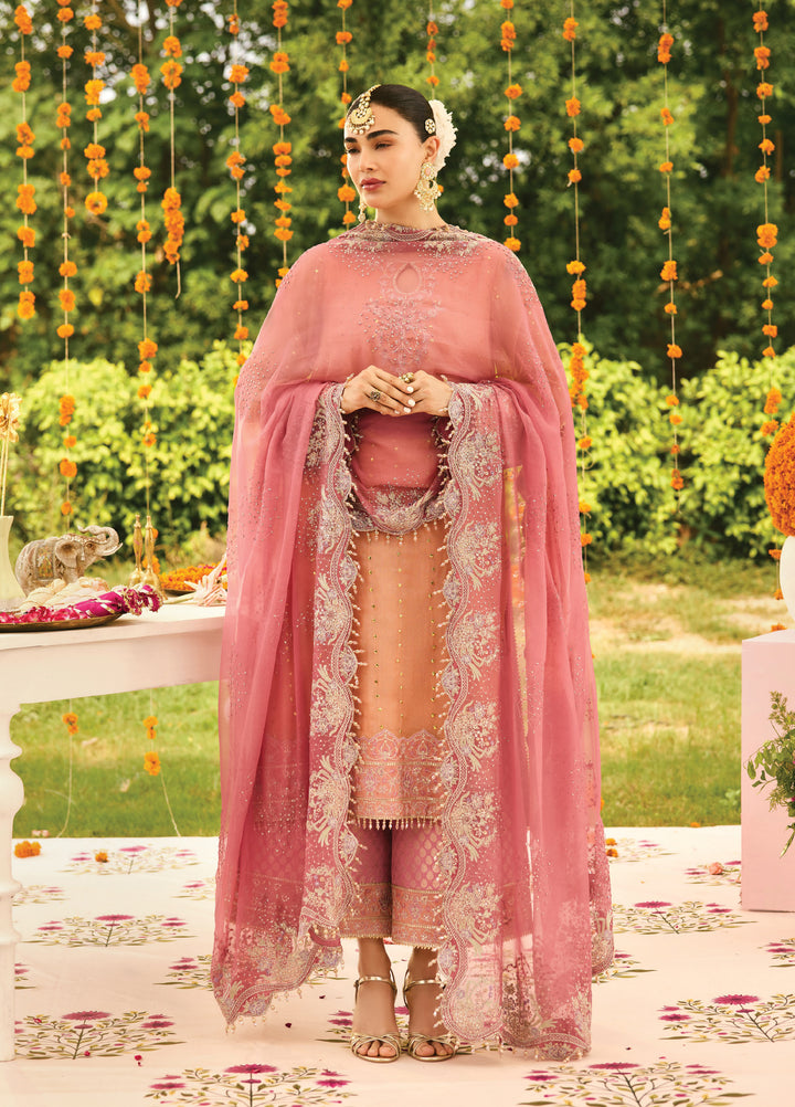 Shehnai by Alizeh Fashion Unstitched Embroidered Zari Net Suits 3 Piece AFB25SF Sitara - Festive Collection