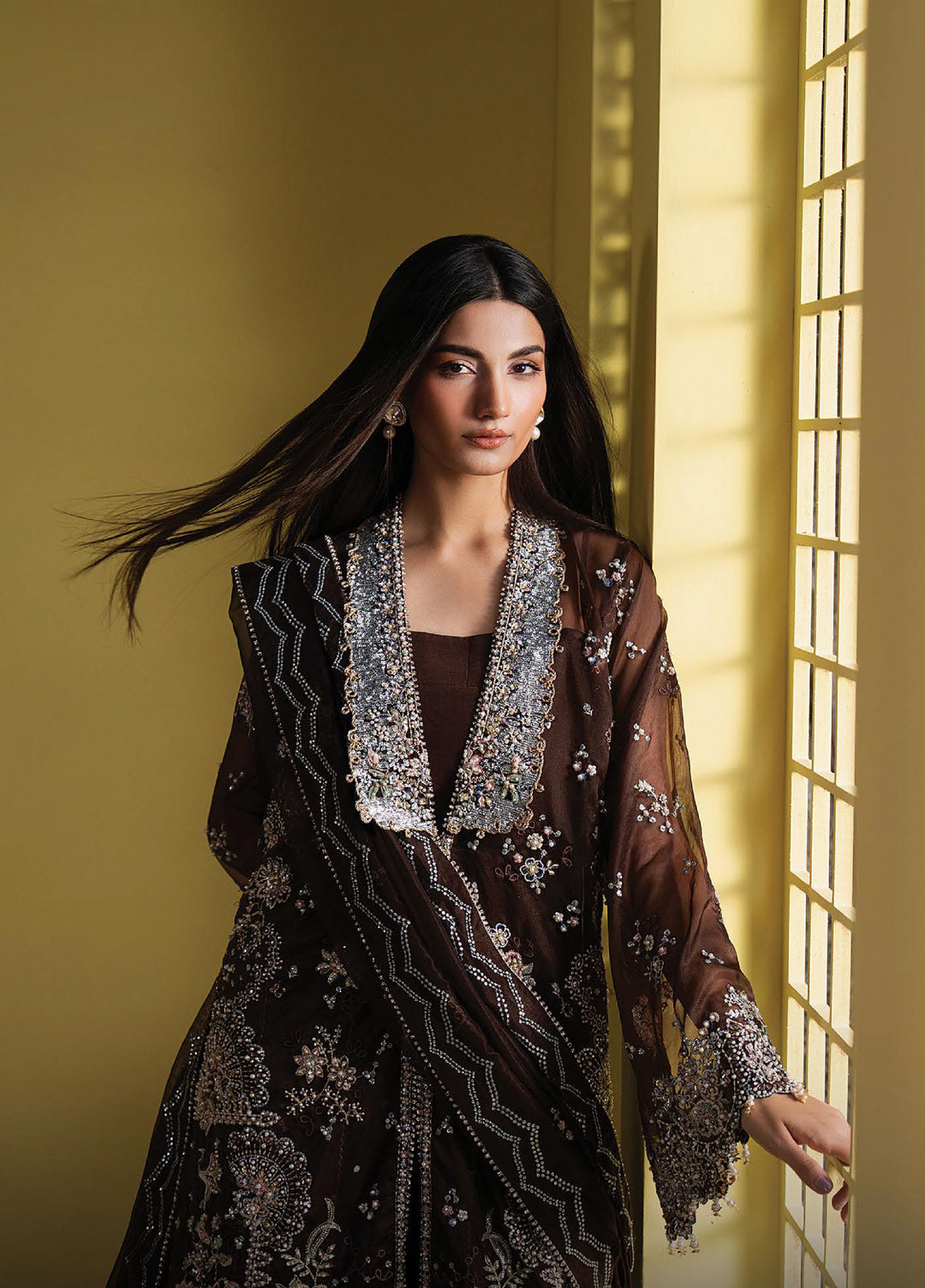 Solaris by Ayzel Unstitched Formals Organza Suits 3 Piece AAF25SW Emberlyn - Wedding Collection