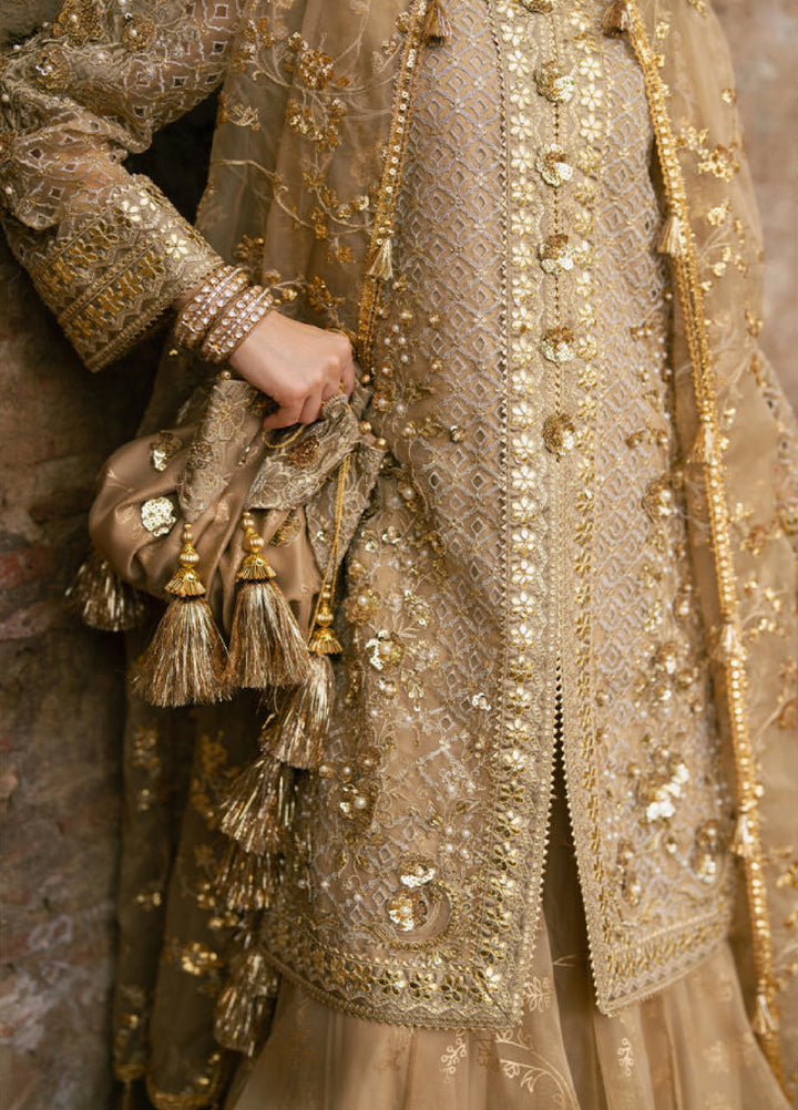 Zarlish Makhfi by Mohsin Naveed Ranjha Unstitched Embroidered Organza Suits 3 Piece MNR25ZM Roshni - Festive Collection