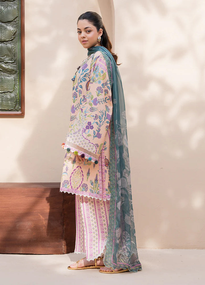 Summer in Bloom By Roheenaz Unstitched Printed Lawn 3 Piece Suit RN26USBL 31A Rosewood Bloom - Festive Collection