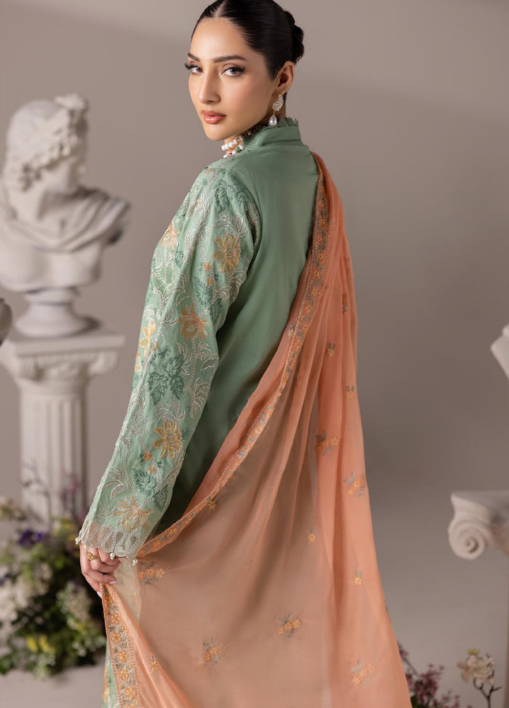 RajBari Exclusive Unstitched Embroidered Lawn 3 Piece Suit RB26UE D-6 - Summer Collection