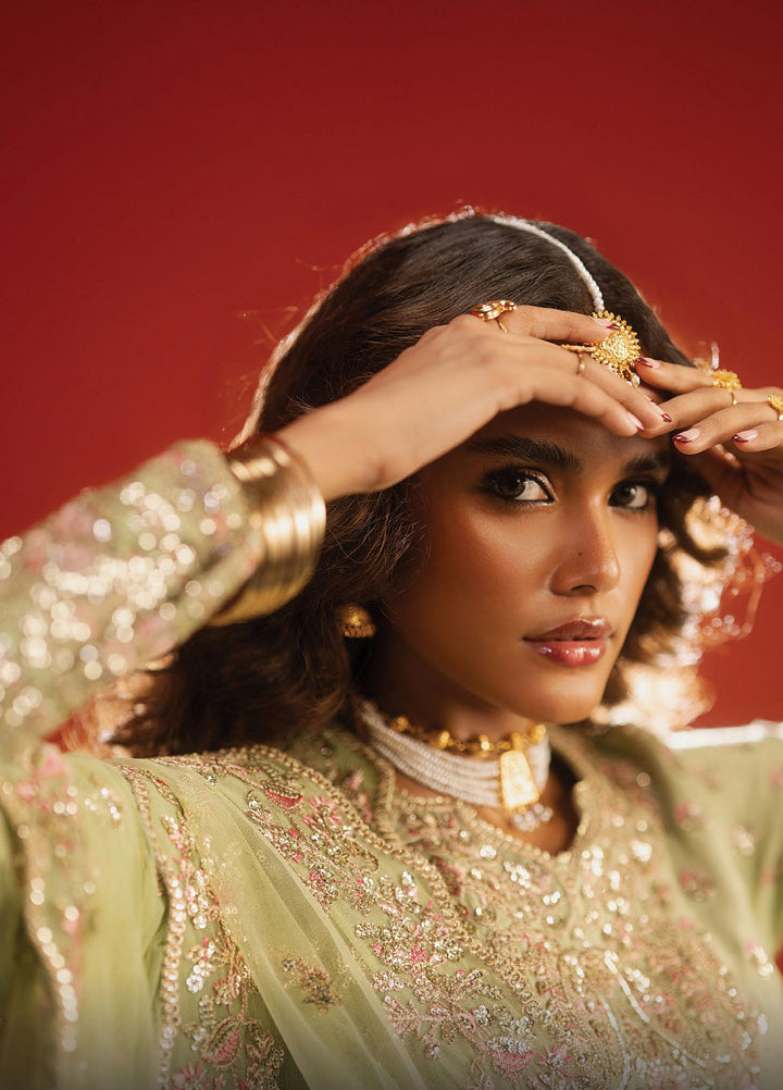 Divani by Afrozeh Unstitched Raw Silk Embroidered 3 Piece Suits AF25DS AS-25-05 Shahwar - Festive Collection