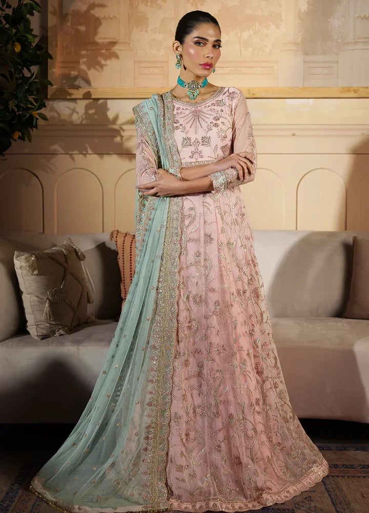 Zarif Women Unstitched Embroidered Net 3 Piece Suit ZR26UFC ZFN 04 SAMARA - Festive Collection