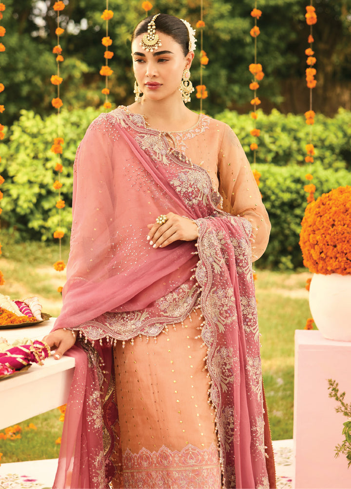 Shehnai by Alizeh Fashion Unstitched Embroidered Zari Net Suits 3 Piece AFB25SF Sitara - Festive Collection