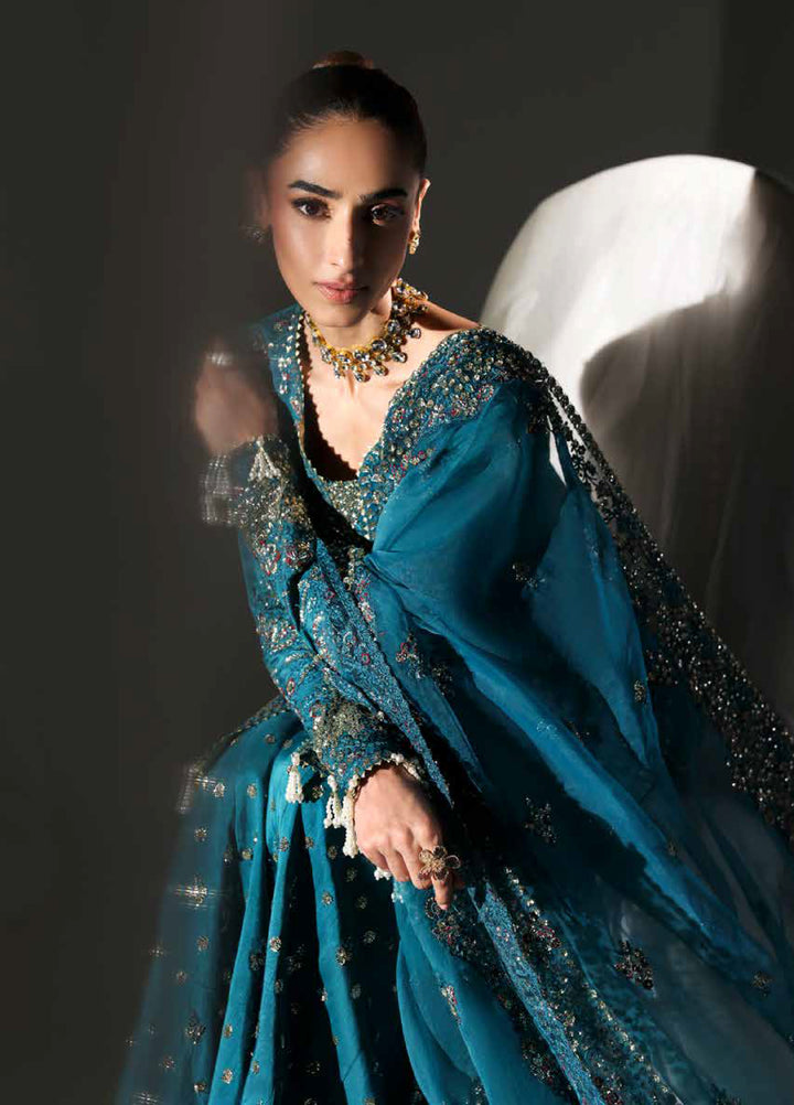 Serein Luxe by Emaan Adeel Unstitched Raw Silk Embroidered Suits 3 Piece EA25SL D-6 Moonlight Night - Festive Collection