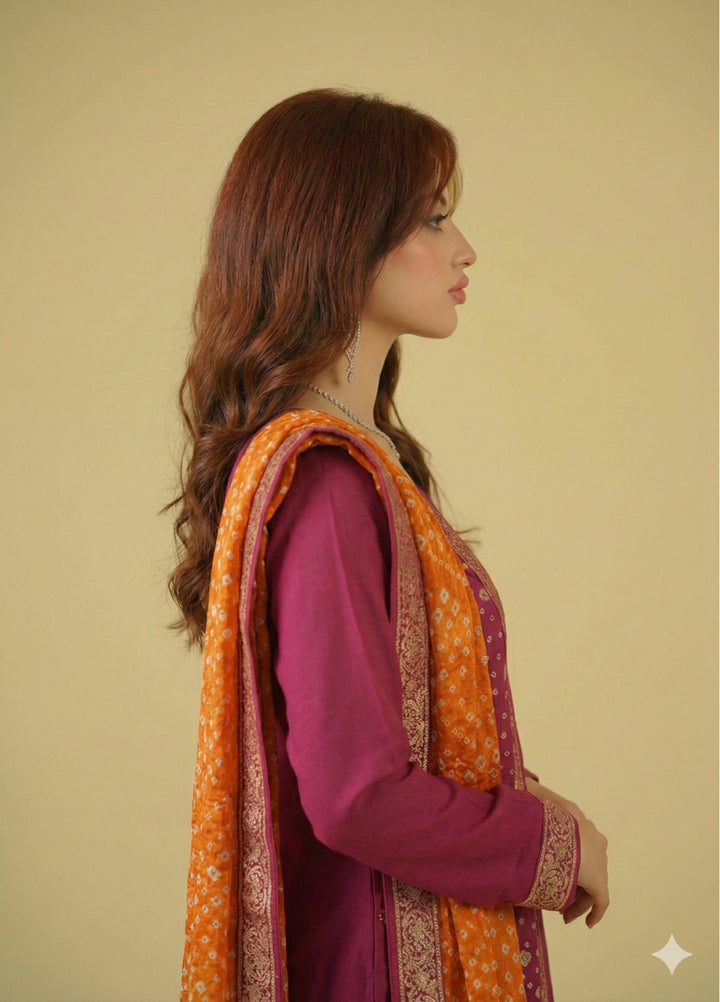 Satrang by Zouj Unstitched Chunri Chiffon Embroidered Suits 3 Piece ZJ25SC ZJCH-0033 Pink - Festive Collection