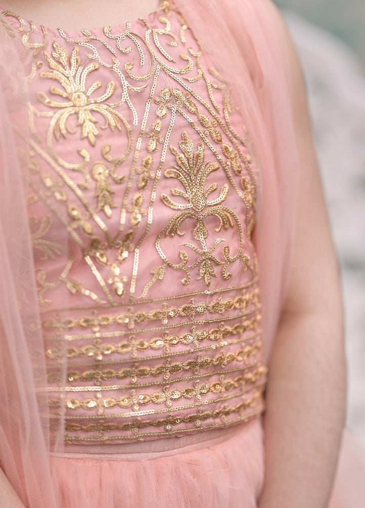 Andaz e Jahan by Qurratulain Saqib Pret kids Bareeze Net 3 Piece Embroidered Blossom Queen - Wedding Collection