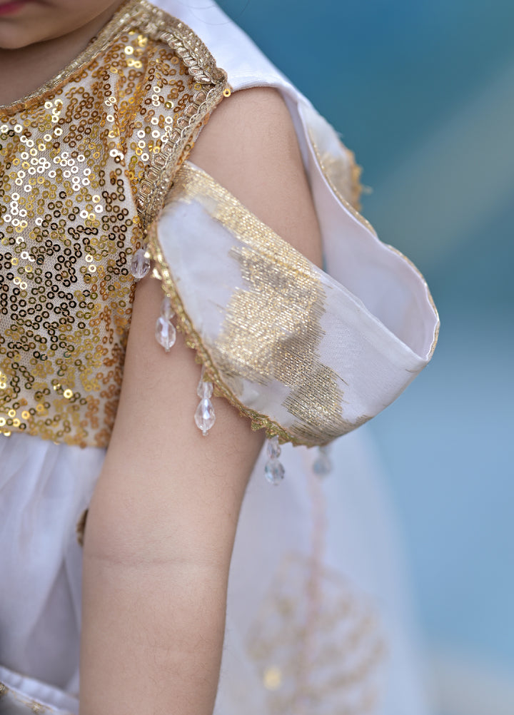 Andaz e Jahan by Qurratulain Saqib Pret kids Jamawar Organza 3 Piece Embroidered Rajasthani Guriya - Wedding Collection