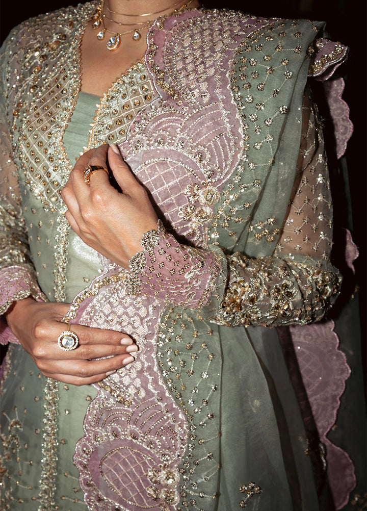 Pari Naaz by Neeshay Embroidered Net Suits Unstitched 3 Piece NSH25PW Meerab - Formals Collection