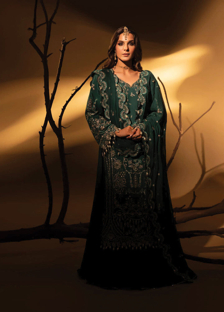Aylin Unstitched Raw Silk Embroidered Suits 3 Piece AYL25US GREEN SLATE - Festive Collection