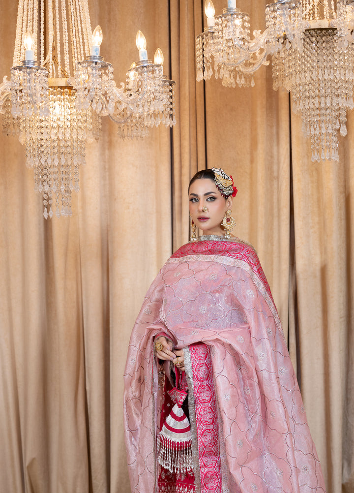 Maah-e-Noor Raum by Sarb Unstitched Embroidered Khaadi Net 3 Piece Suit RS26UMN MWF-05 - Wedding Collection