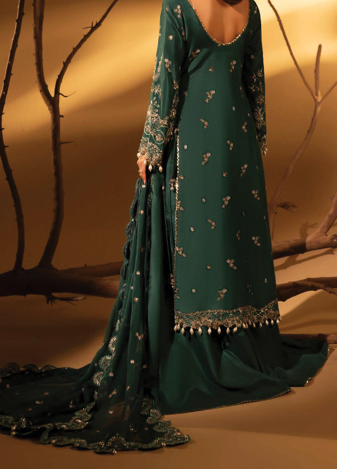 Aylin Unstitched Raw Silk Embroidered Suits 3 Piece AYL25US GREEN SLATE - Festive Collection
