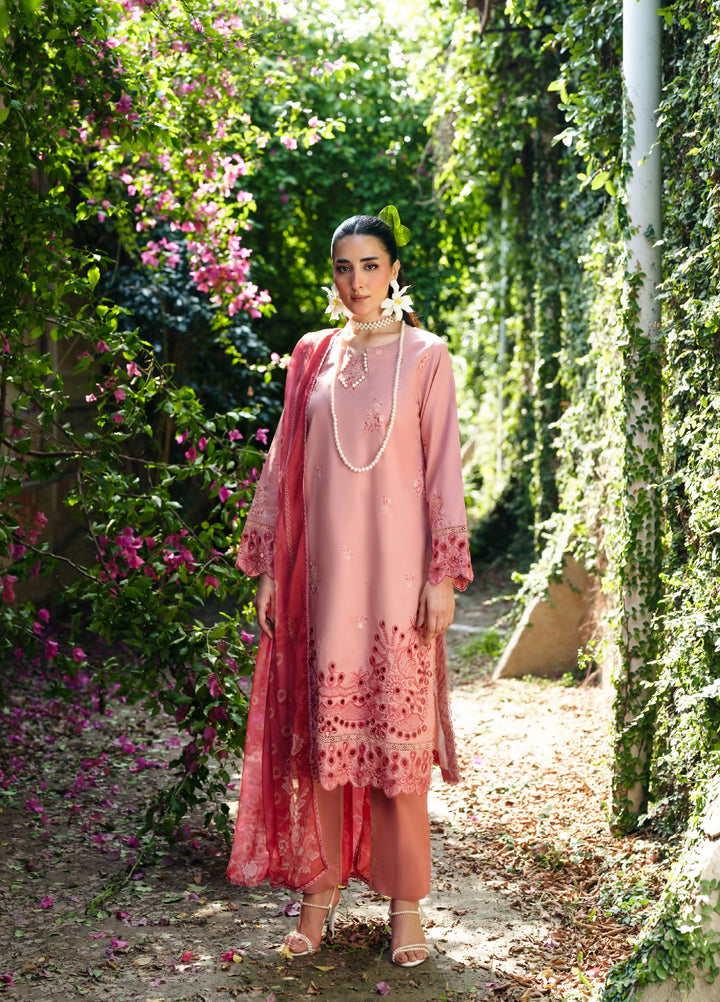 Golden Enara by Rashid Textiles Unstitched Embroidered Lawn 3 Piece Suit RT26ULG 3708 - Casual Collection