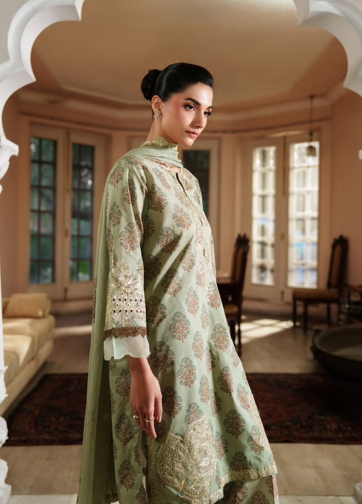 Bloom Enara by Rashid Textiles Unstitched Embroidered Lawn 3 Piece Suit RT26ULB 1009 - Casual Collection