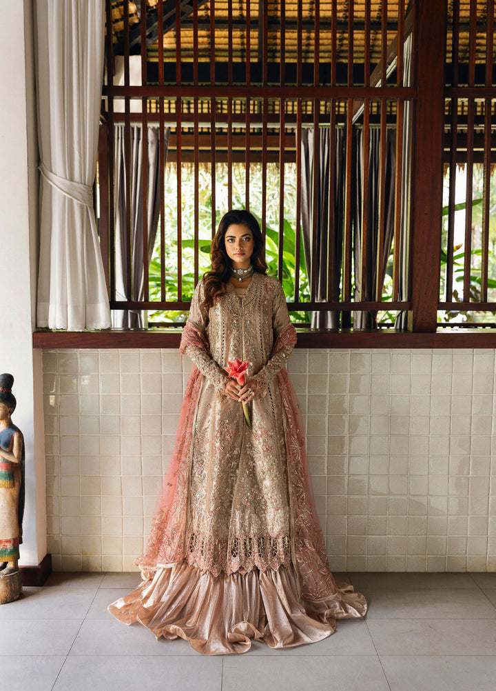 Saira Rizwan Unstitched Tissue Embroidered Suits 3 Piece SR25UF SRF25-03 Rohana - Festive Collection