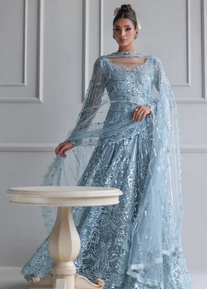 Threads And Motifs Women Pret Net Embroiderd Maxi and Dup 2 Piece 9833.4 - Formals Collection