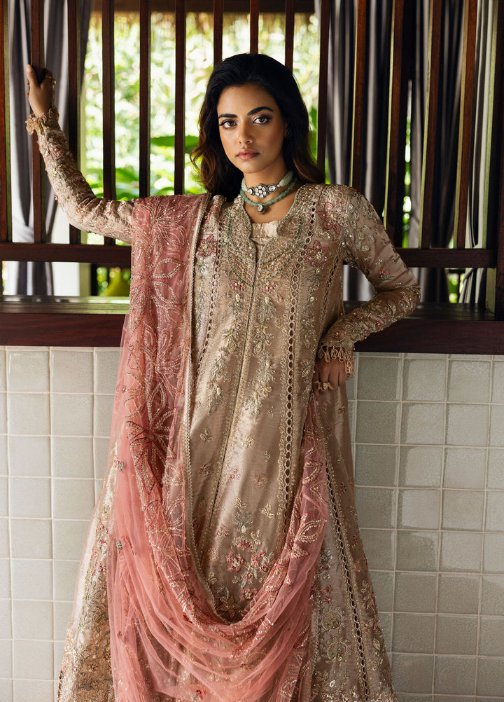Saira Rizwan Unstitched Tissue Embroidered Suits 3 Piece SR25UF SRF25-03 Rohana - Festive Collection