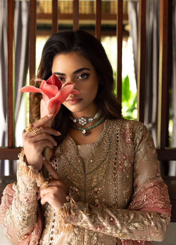 Saira Rizwan Unstitched Tissue Embroidered Suits 3 Piece SR25UF SRF25-03 Rohana - Festive Collection