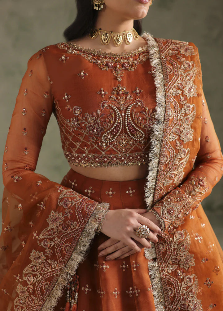 Esmeree by Imran Ramzan Embroidered Unstitched Organza 3 Piece Reine D Ambre - Formals Collection