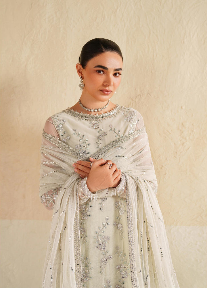 Roohi By Zarif Unstitched Formal Embroidered Net Suits 4 Piece ZRF25RF RFE-02 Leemah - Formals Collection