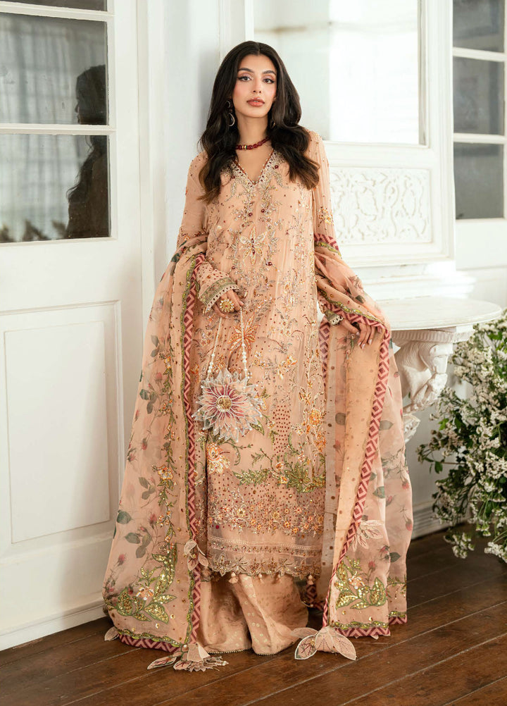 Shaam Shandar By Mushq Luxury Chiffon Unstitched 3 Piece Suits MQ25SC D-4 Tarannum - Festive Collection