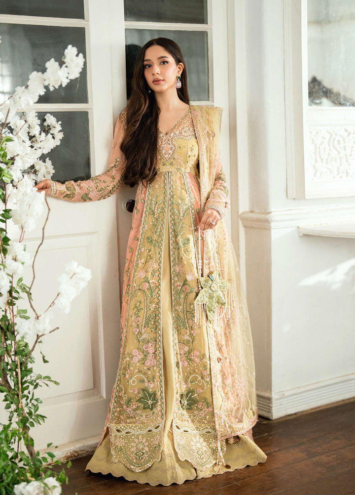 Shaam Shandar By Mushq Luxury Chiffon Unstitched 3 Piece Suits MQ25SC D-3 Sur Sunehri - Festive Collection