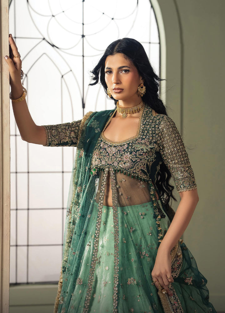 Luminara by Ayzel Unstitched Embroidered Net 3 Piece Suit AAF26UWL Koel AYZ-172 - Wedding Collection