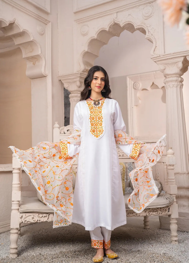 Abaan Zohan Pret Embroidered Raw Silk 3 Piece Suit Abr