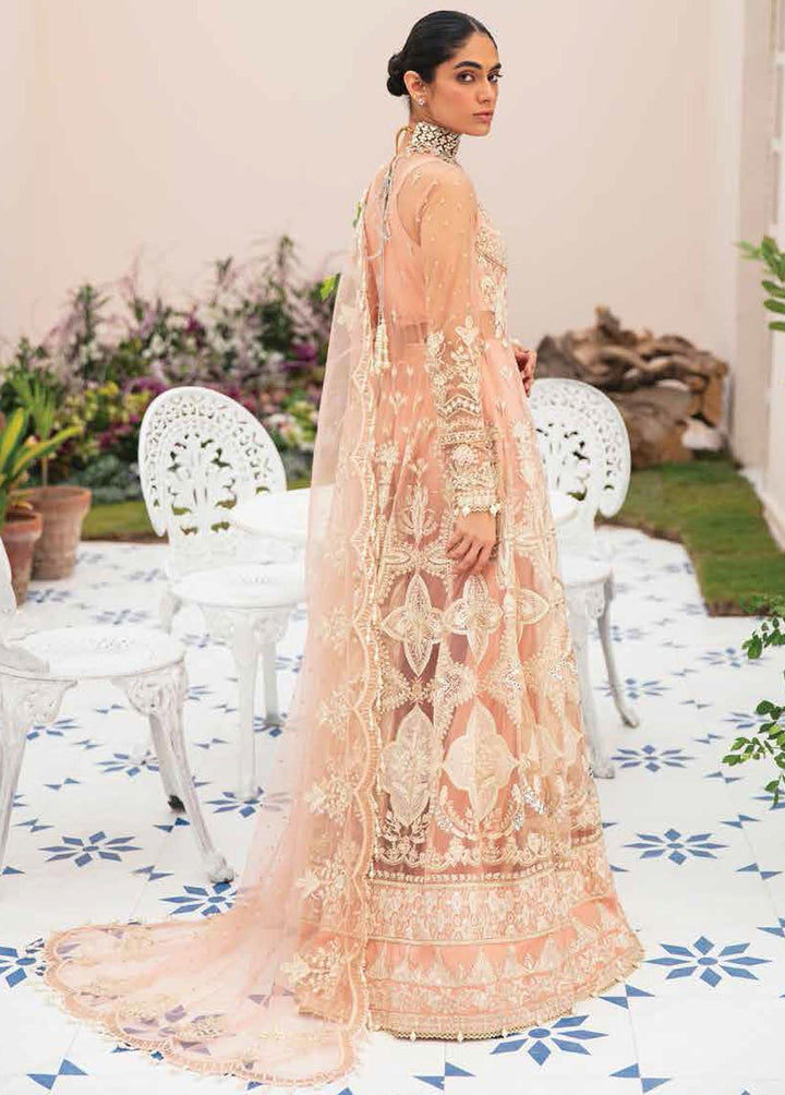 La Fuschsia By Afrozeh Embroidered Net Suits Unstitched 3 Piece AF23LF 007 Sophie - Festive Collection