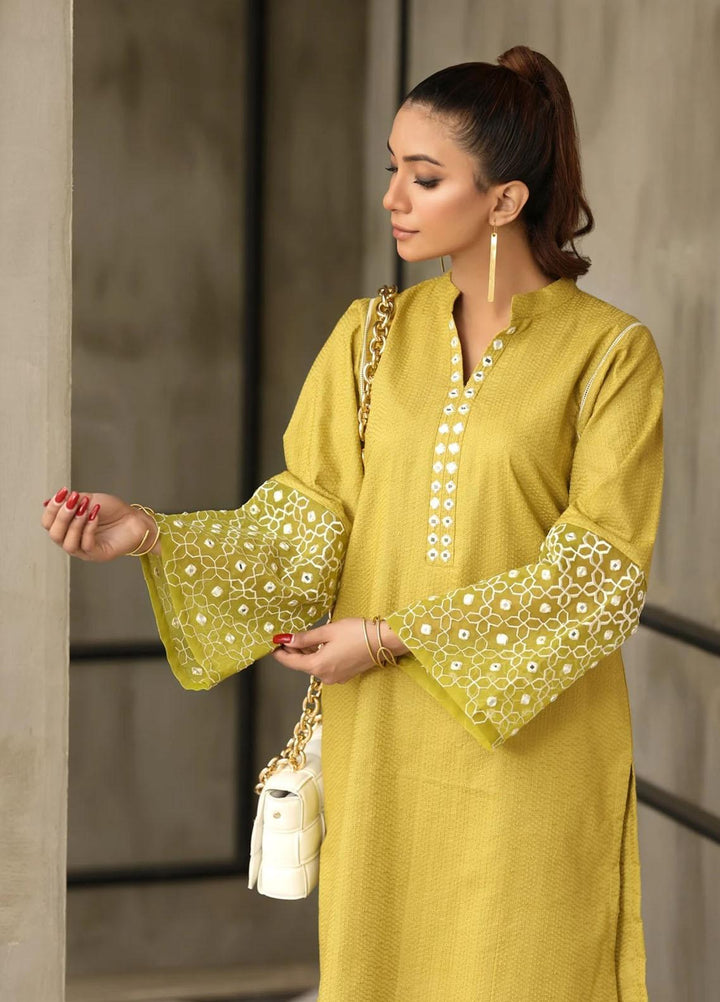 Nuriyaa Casual Pret Embroidered Chikankari Shirt RTW - 14