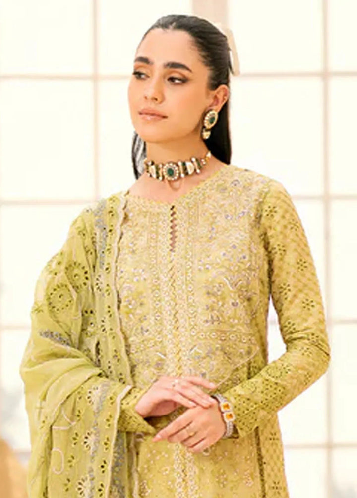 Aik Atelier Embroidered Lawn Suit Unstitched 3 Piece AIK24E LOOK 01 B - Summer Collection