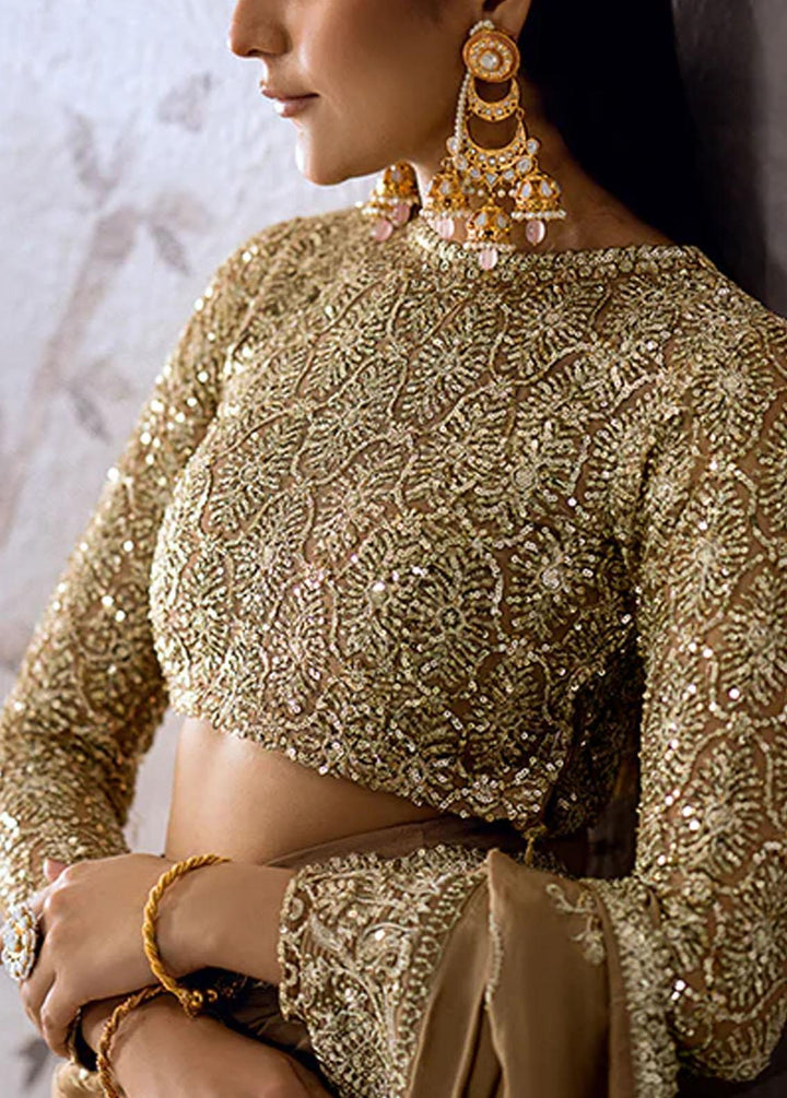 AIK Atelier Embroidered   Unstitched Saree AIK23TS Look-02 - Luxury Collection
