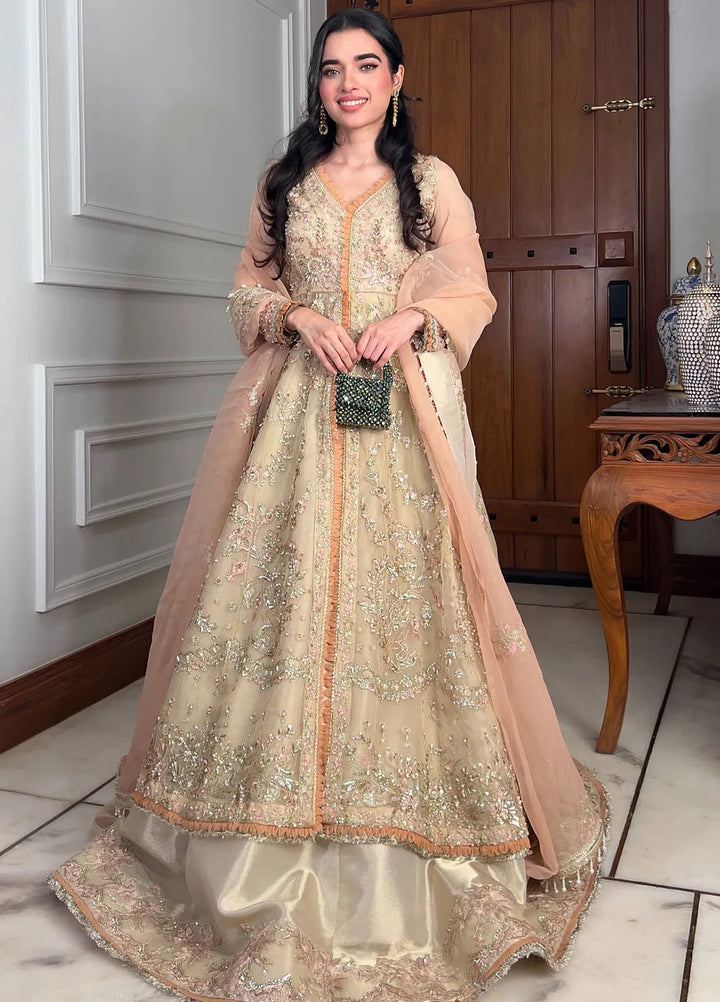 AJR Couture Embroidered Organza Suit Unstitched 3 Piece AJR24LF AFF-05 Dusk - Luxury Collection