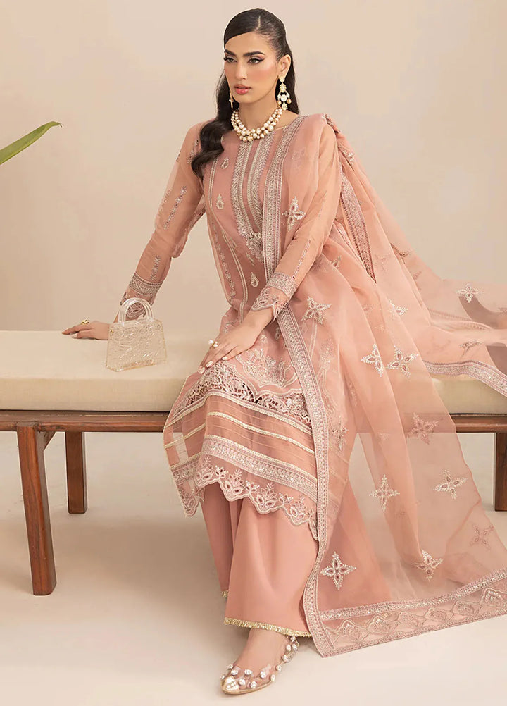 Aleen Pret Embroidered Organza 3 Piece Suit Rouge