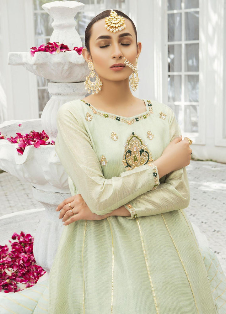 Amsin Attire Luxury Pret Embroidered Missouri Ready to Wear (RTW) AAR22FE A7