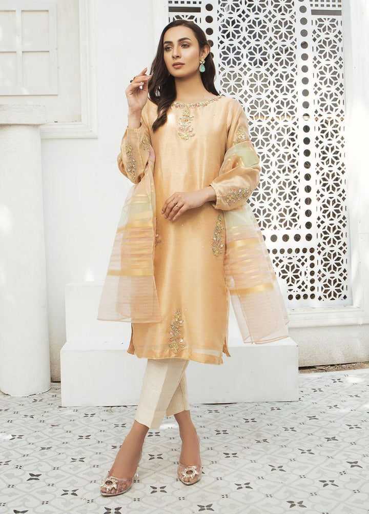 Amsin Attire Luxury Pret Embroidered Missouri Ready to Wear (RTW) AAR22FE A8