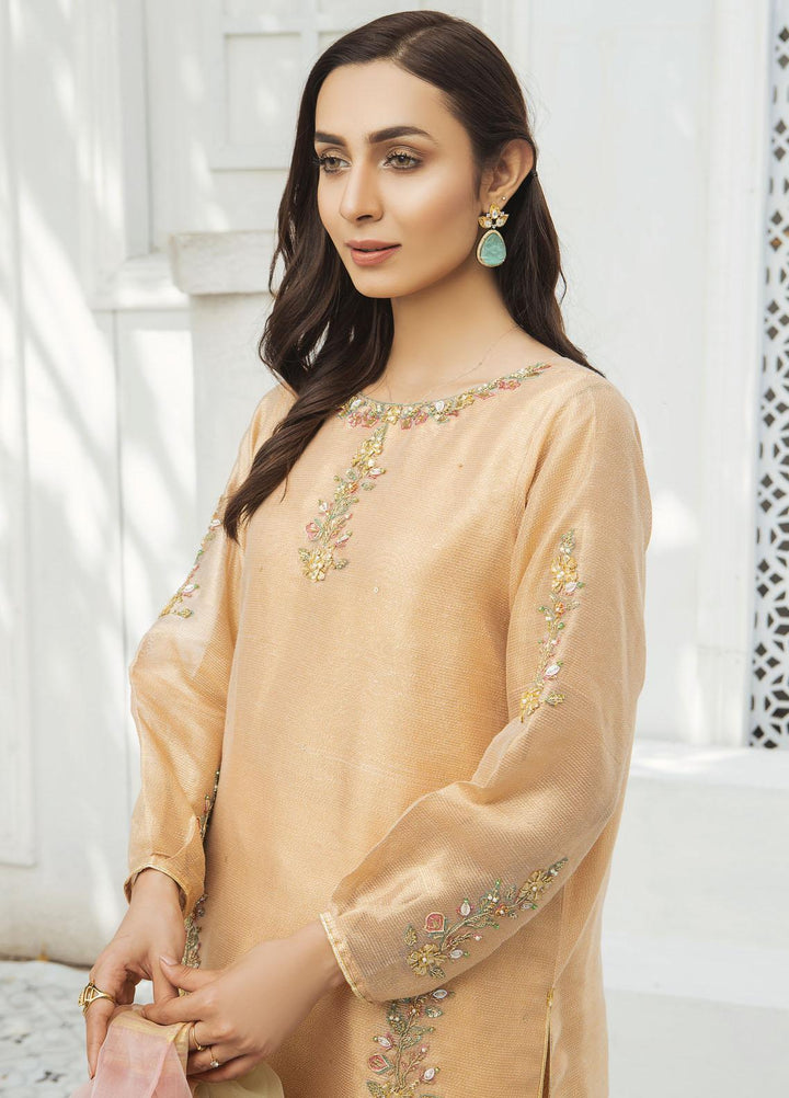 Amsin Attire Luxury Pret Embroidered Missouri Ready to Wear (RTW) AAR22FE A8