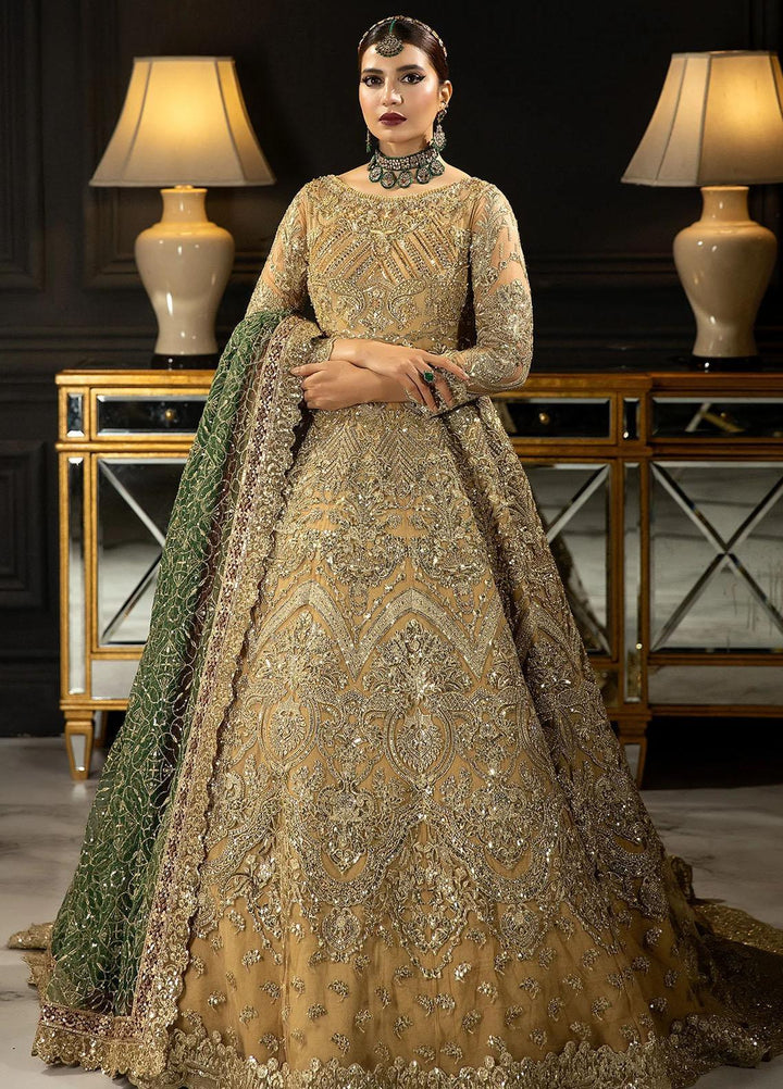 Andaaz-E-Khaas By Imrozia Premium Embroidered Net Suits Unstitched 4 Piece IMP23AK IB-43 Diya - Luxury Collection