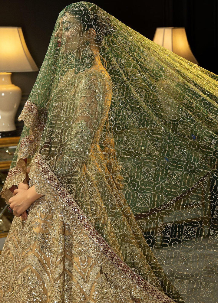 Andaaz-E-Khaas By Imrozia Premium Embroidered Net Suits Unstitched 4 Piece IMP23AK IB-43 Diya - Luxury Collection