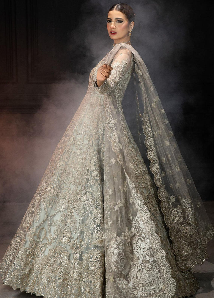 Andaaz-E-Khaas By Imrozia Premium Embroidered Net Suits Unstitched 4 Piece IMP23AK IB-48 Jaeda - Luxury Collection