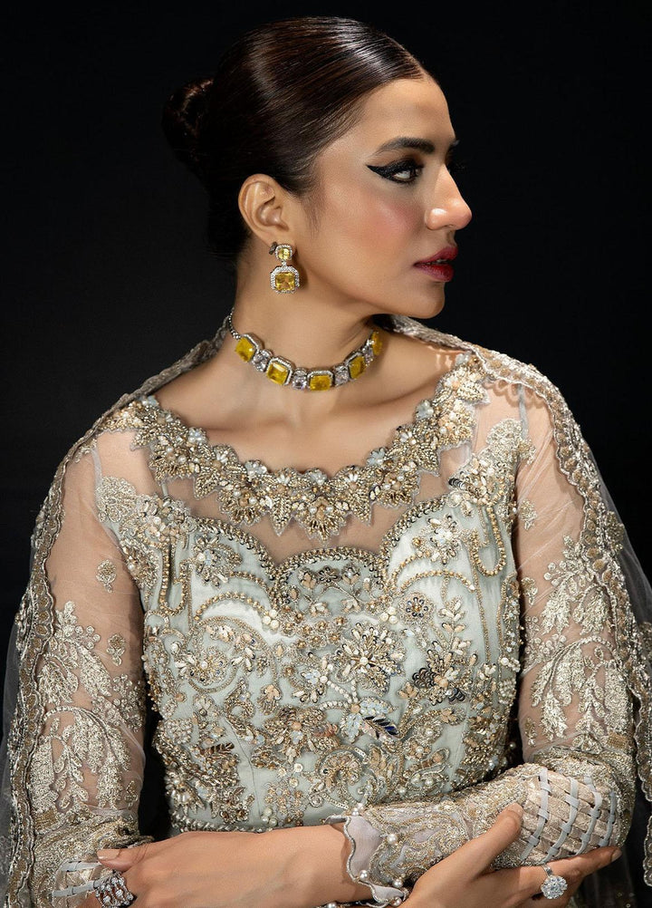 Andaaz-E-Khaas By Imrozia Premium Embroidered Net Suits Unstitched 4 Piece IMP23AK IB-48 Jaeda - Luxury Collection