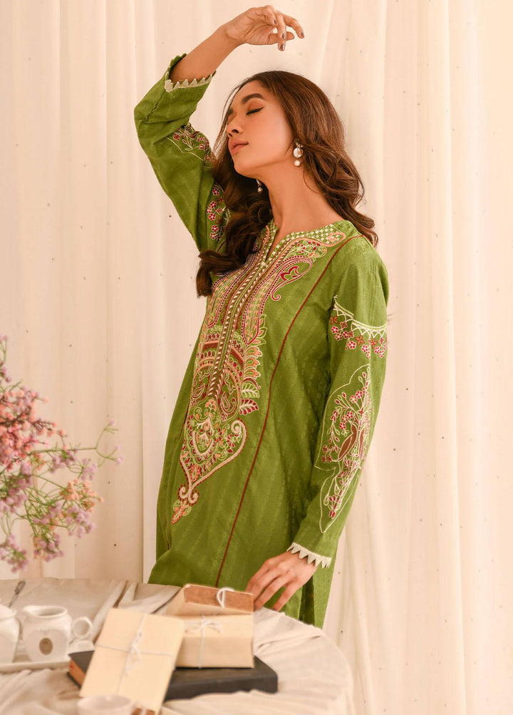 Asifa & Nabeel Pret Embroidered Lawn 2 Piece AN23B RTW-EMB-12